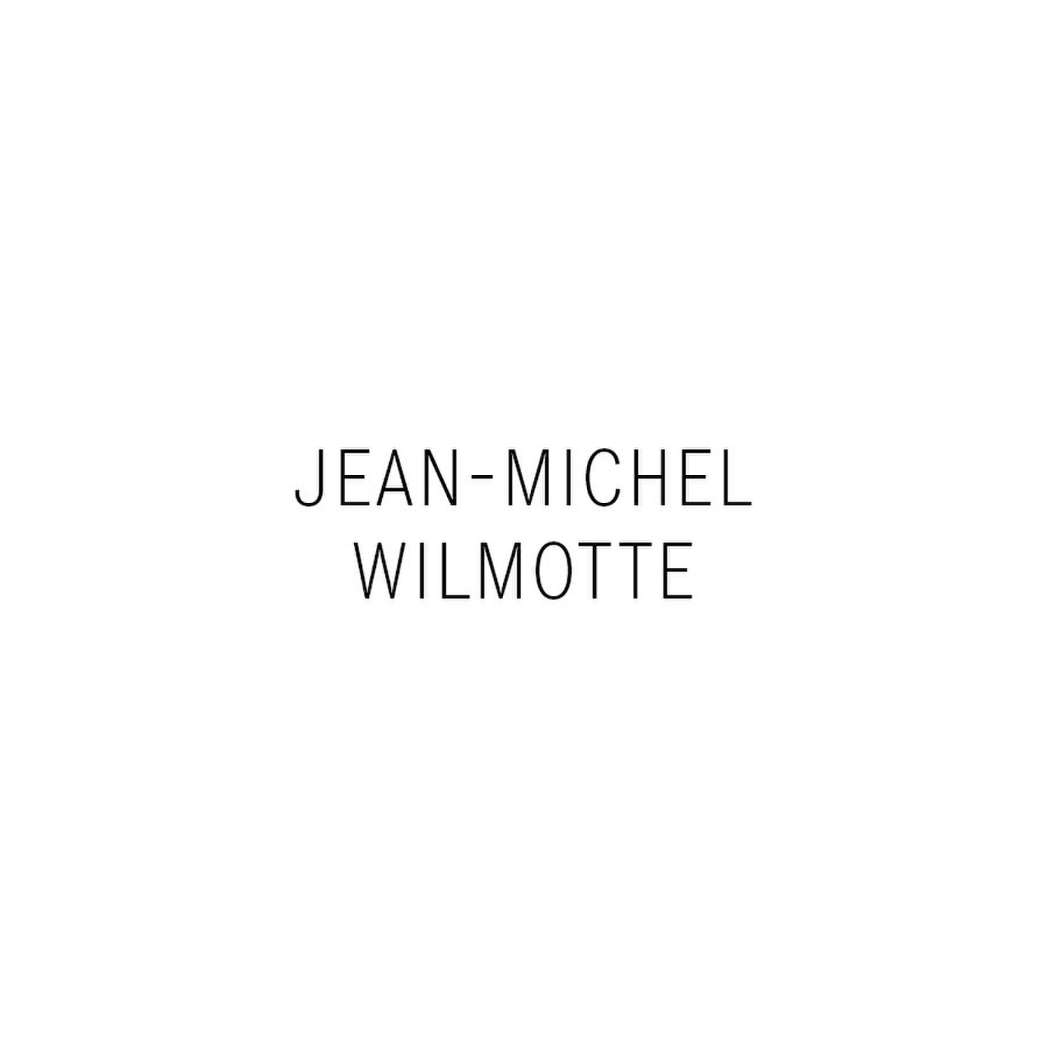jean michel wilmotte