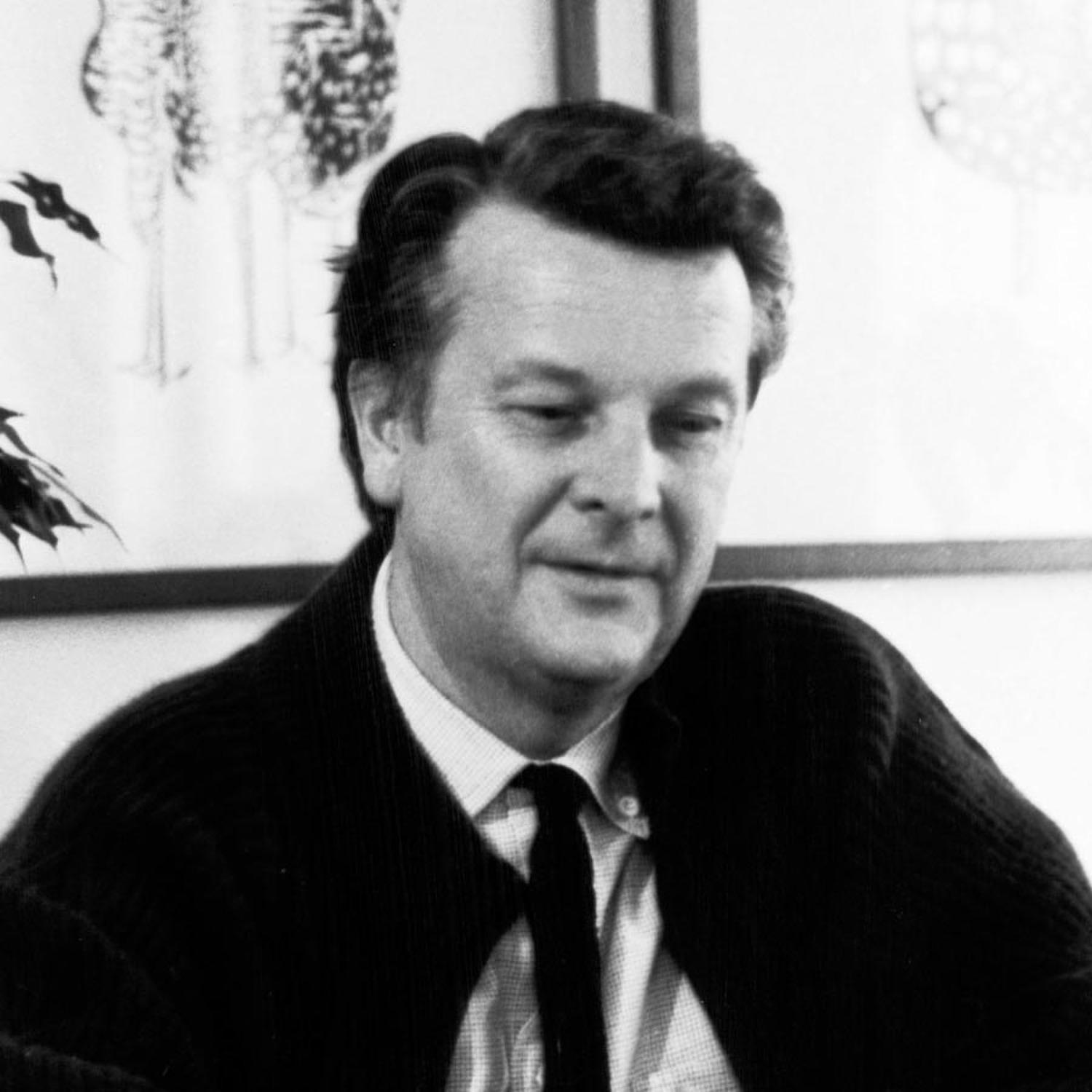 tito agnoli