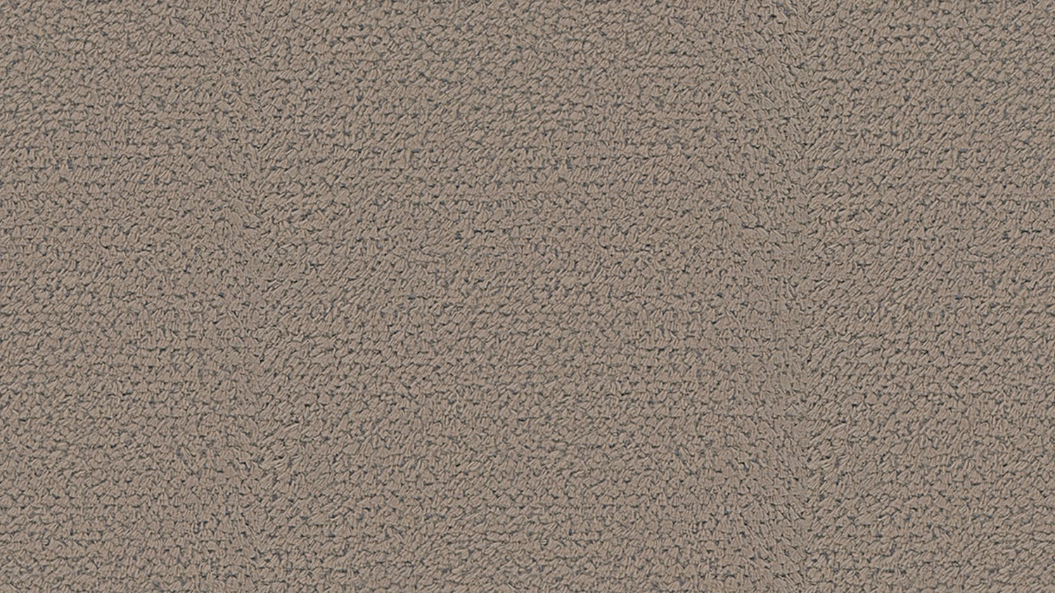 mollis 0000031730