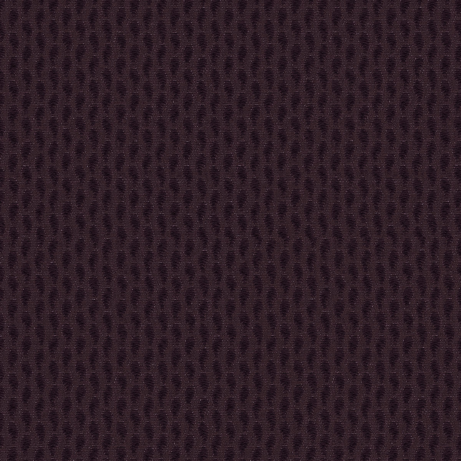AUBERGINE