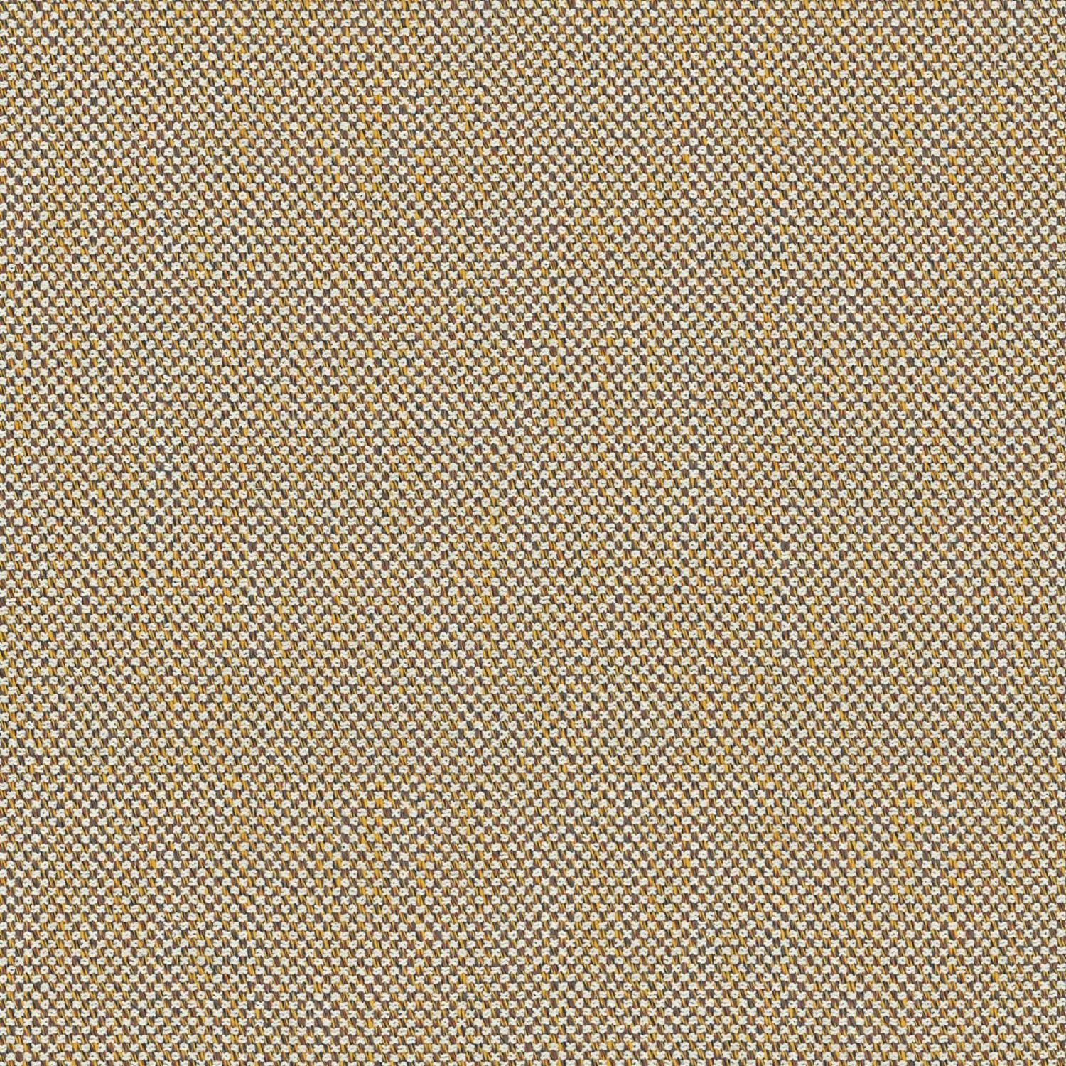 429.032