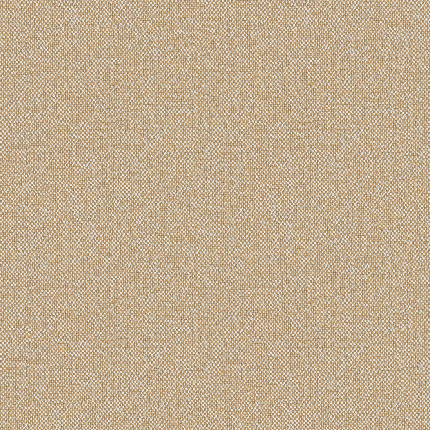 OCRE