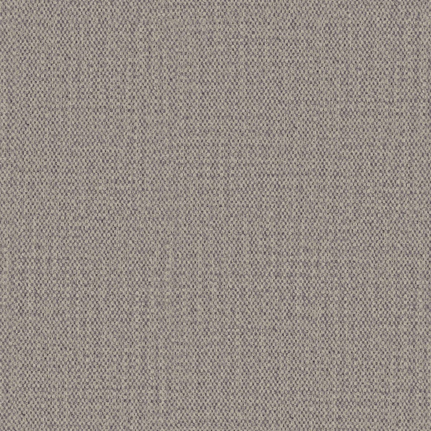 TOPO 13