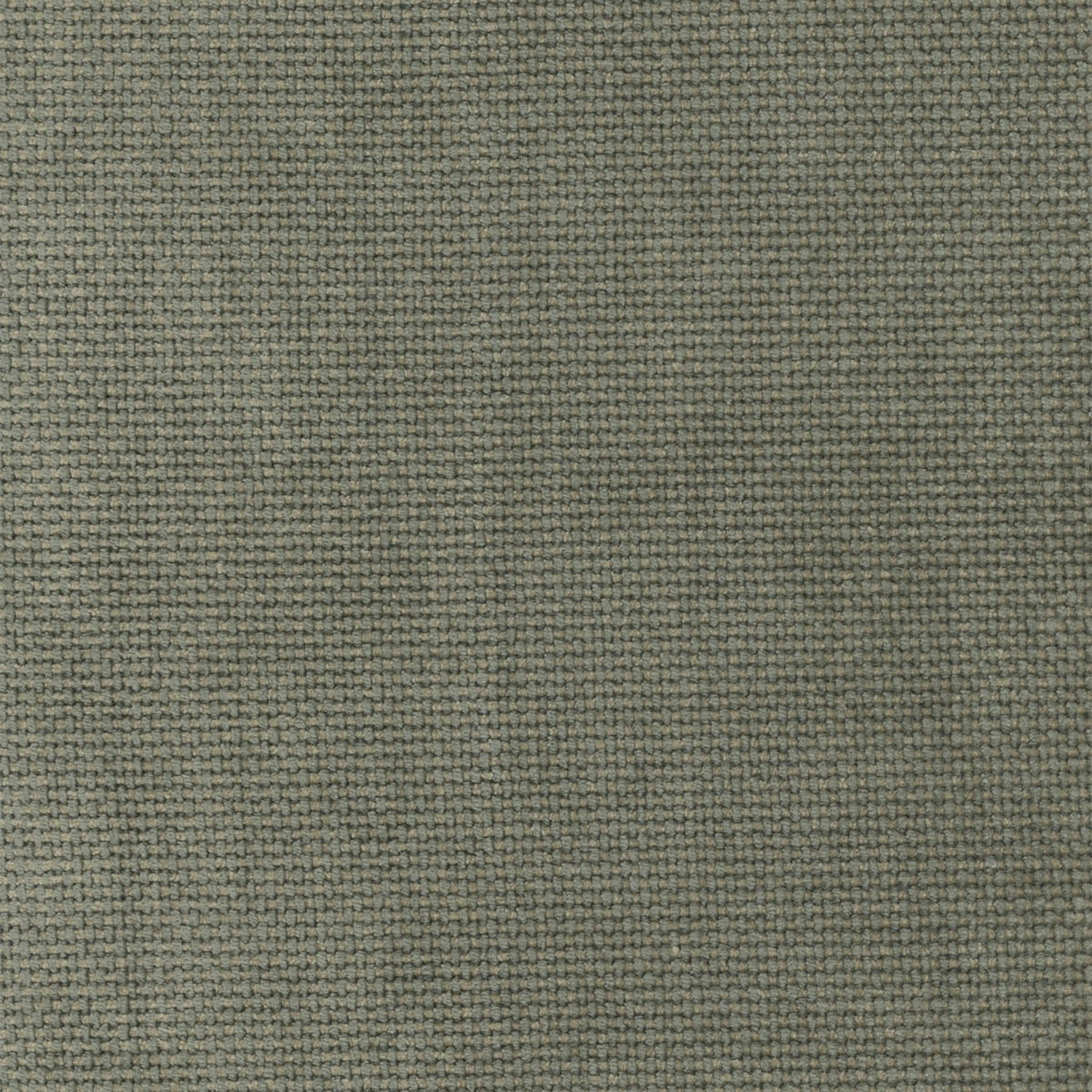 EARTHY OLIVE