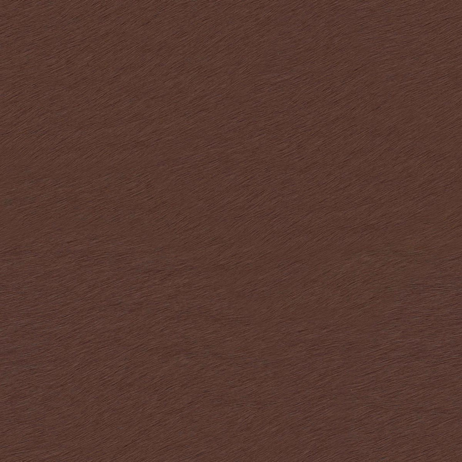 CASTANO