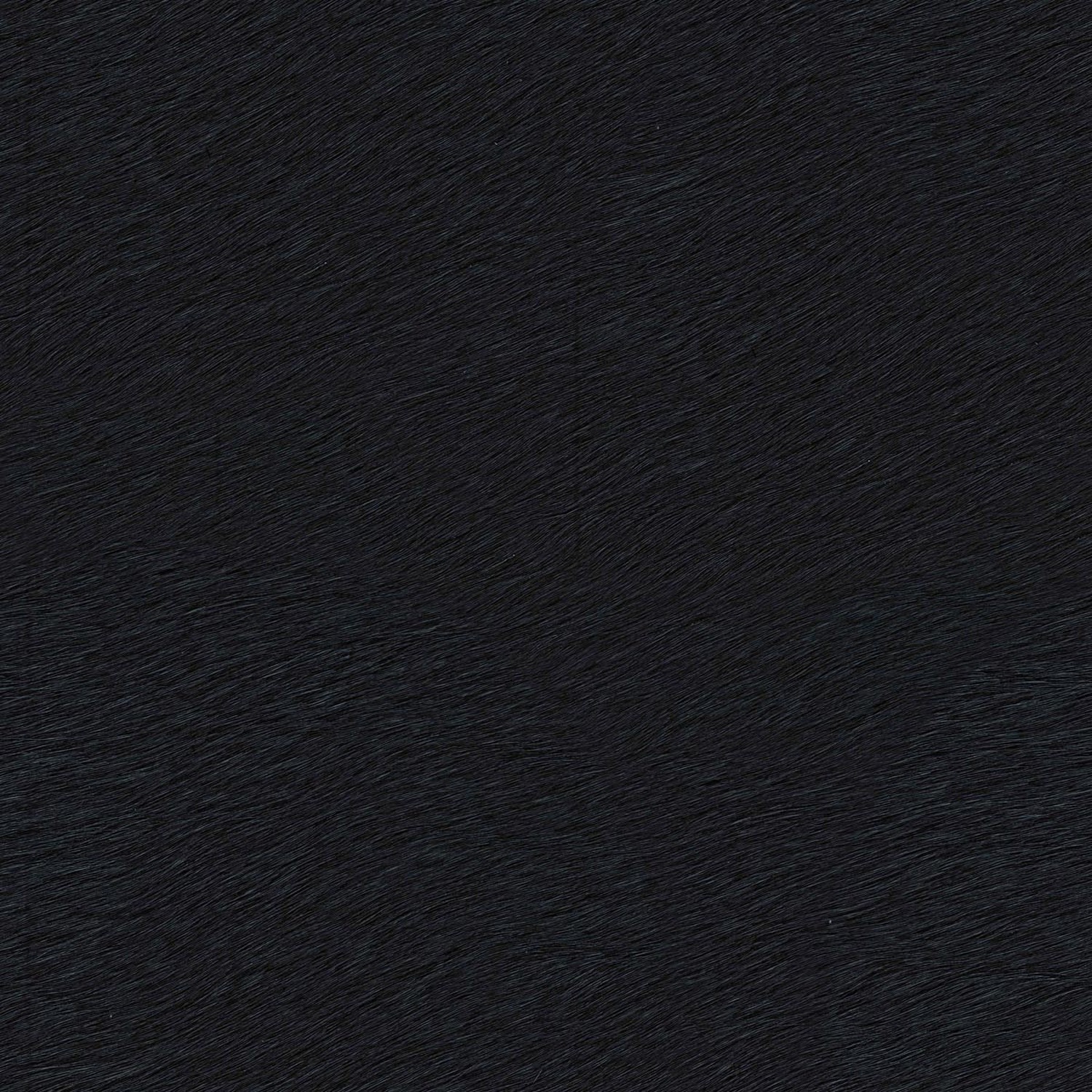 FULL BLACK