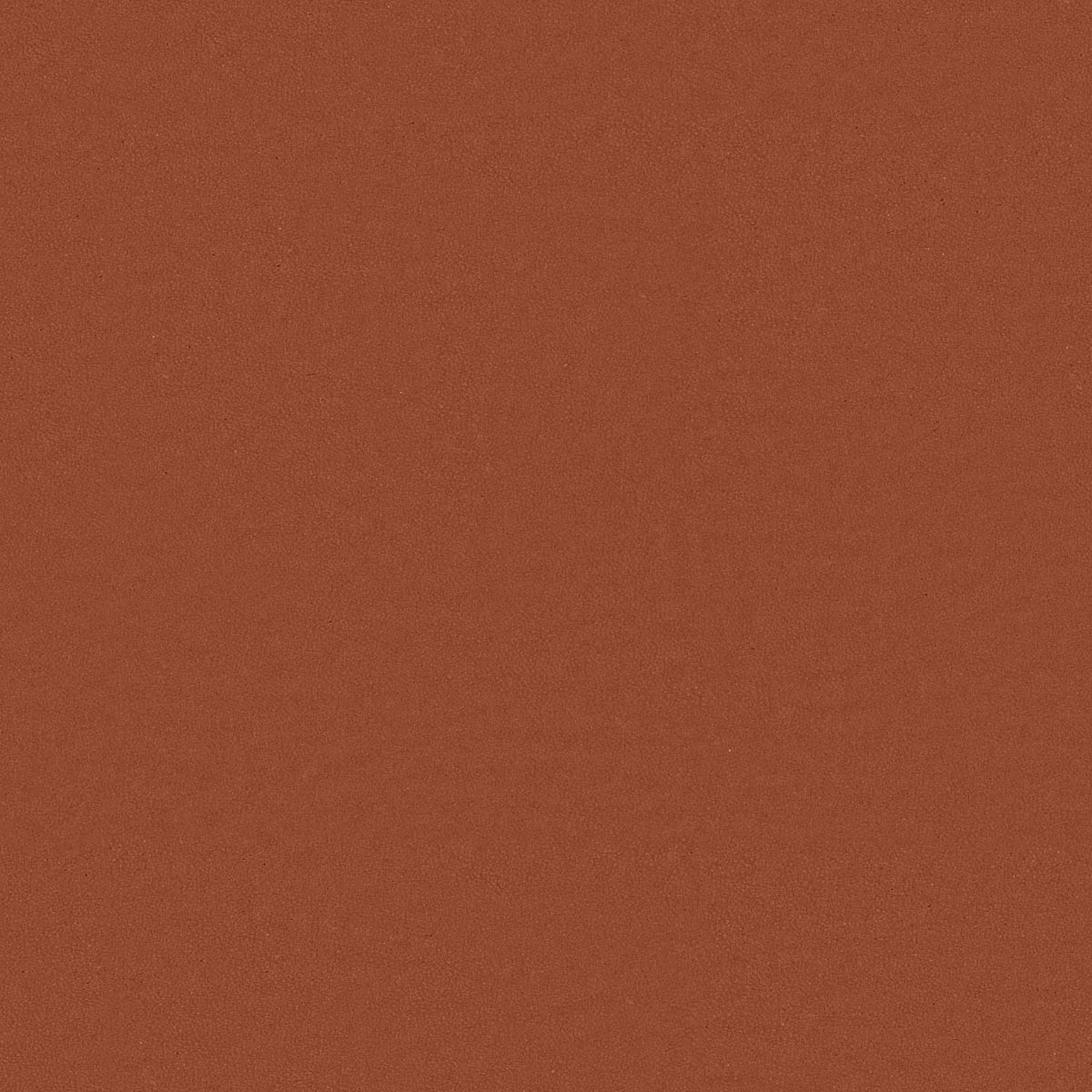 PAPRIKA
