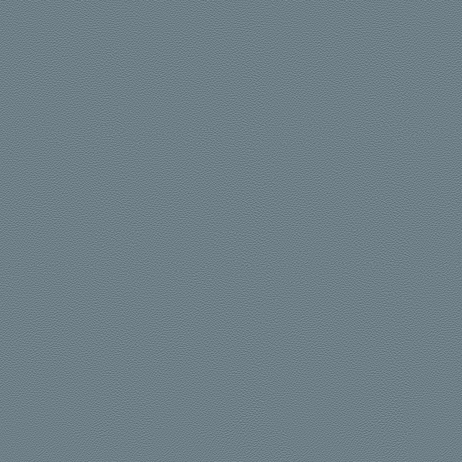 STEEL BLUE