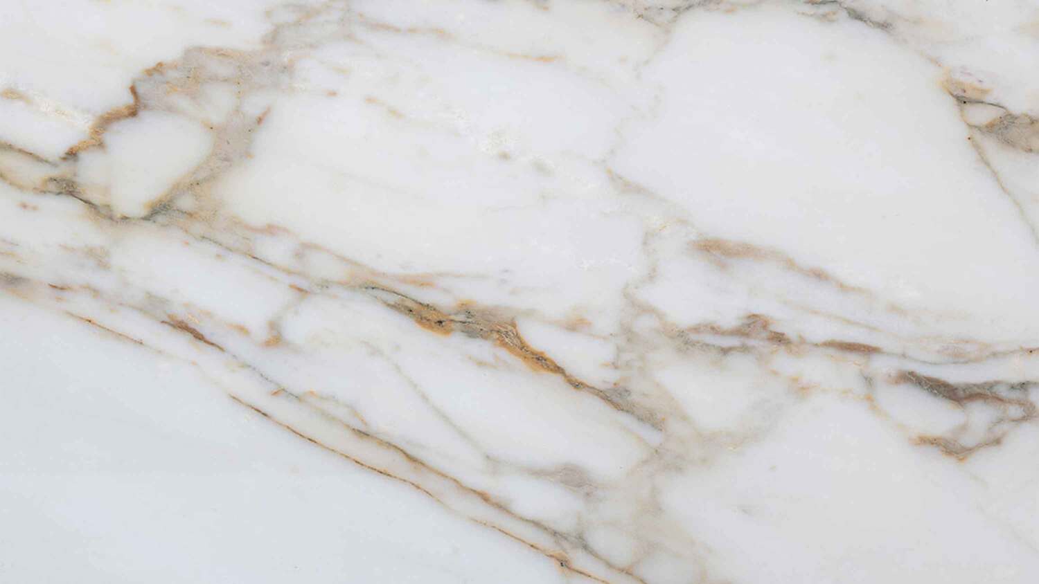 calacatta oro preview