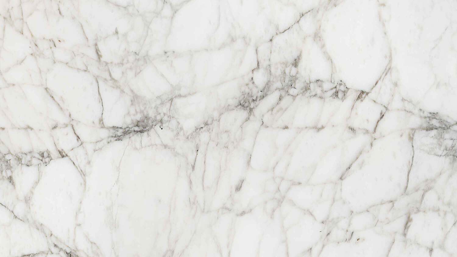 calacatta preview